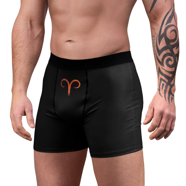 ARIES  Men's Boxer Briefs